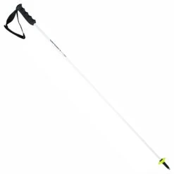 HEAD Worldcup Rebels Carbon Racing Skistöcke 2022/23