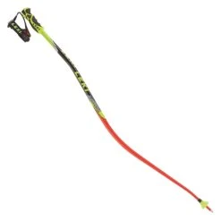 LEKI Super G Downhill Skistöcke